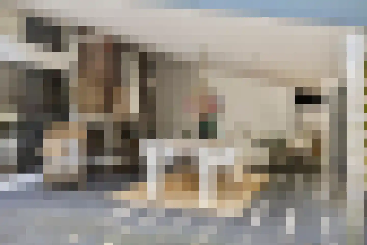 Walbreukergraaf 22 Roermond thumbnail 48