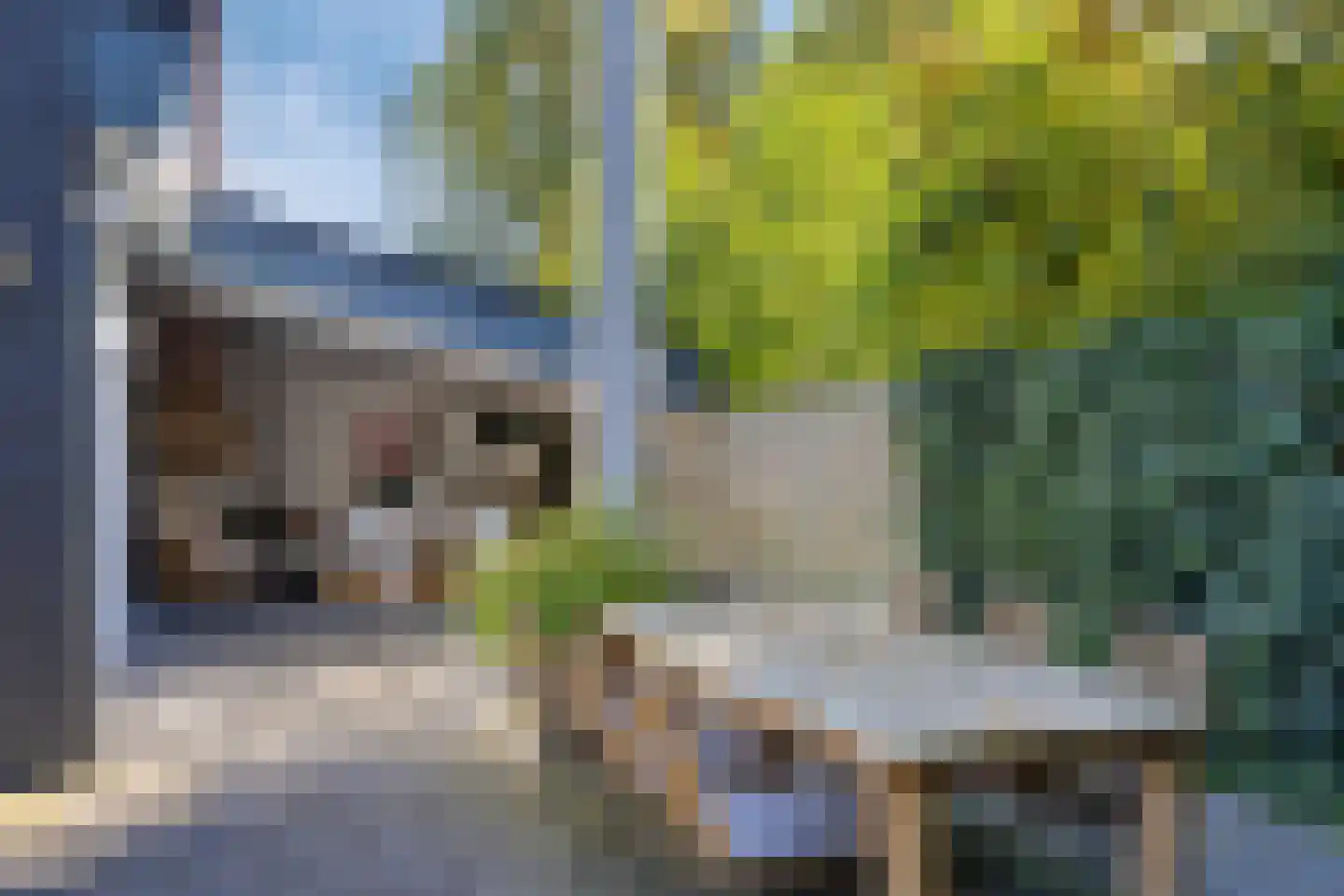 Walbreukergraaf 22 Roermond thumbnail 50