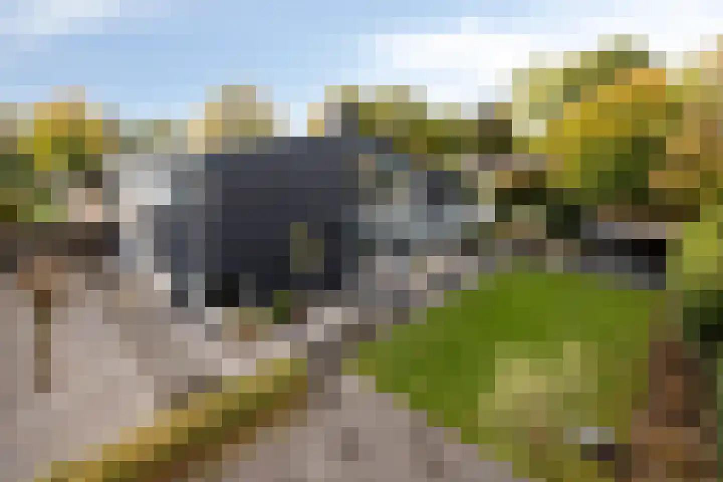 Walbreukergraaf 22 Roermond thumbnail 58
