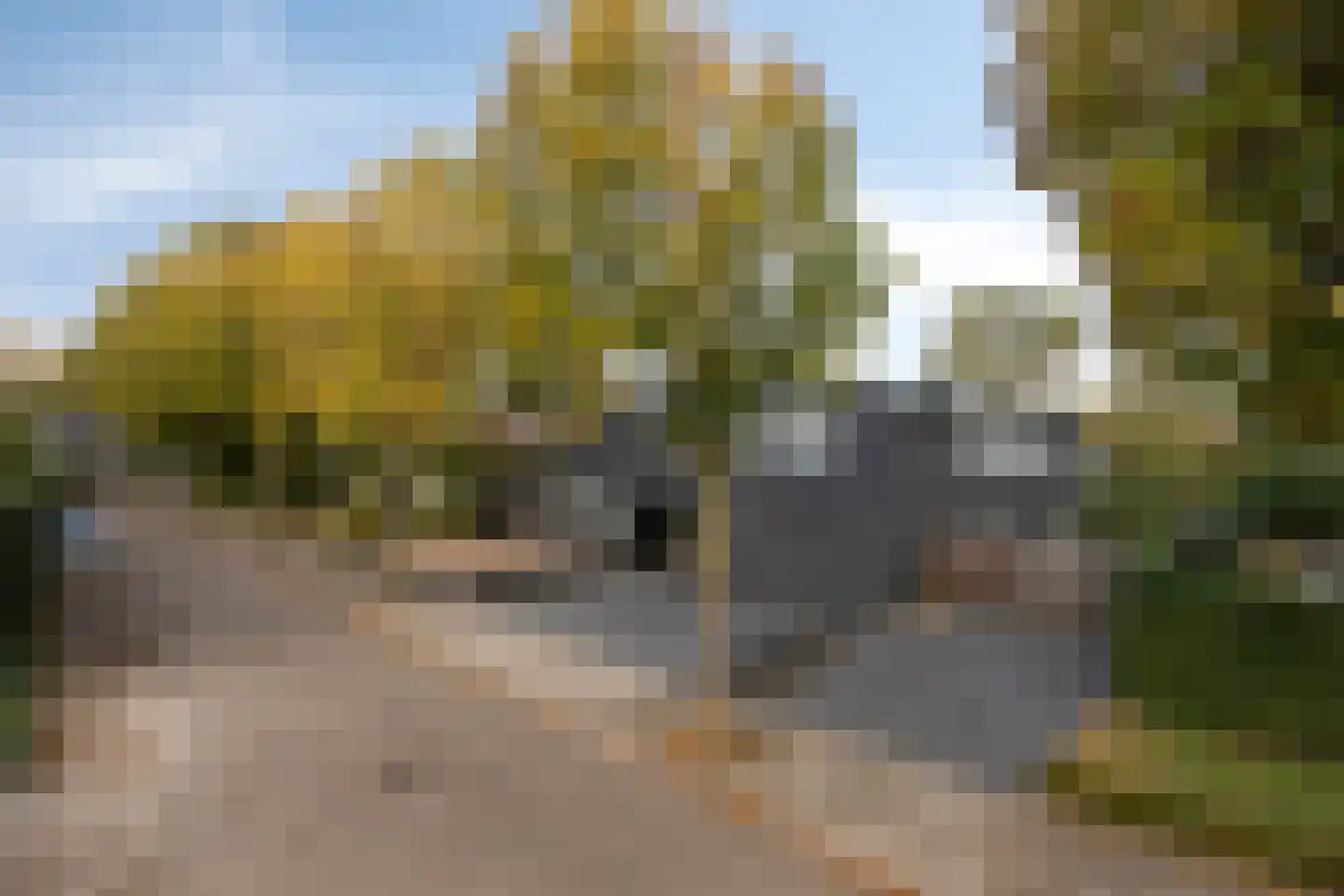 Walbreukergraaf 22 Roermond thumbnail 66