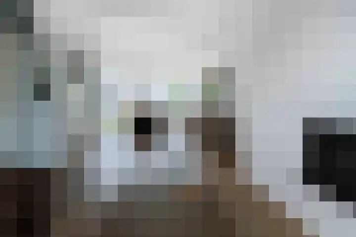 Walburg 36 Maastricht thumbnail 10