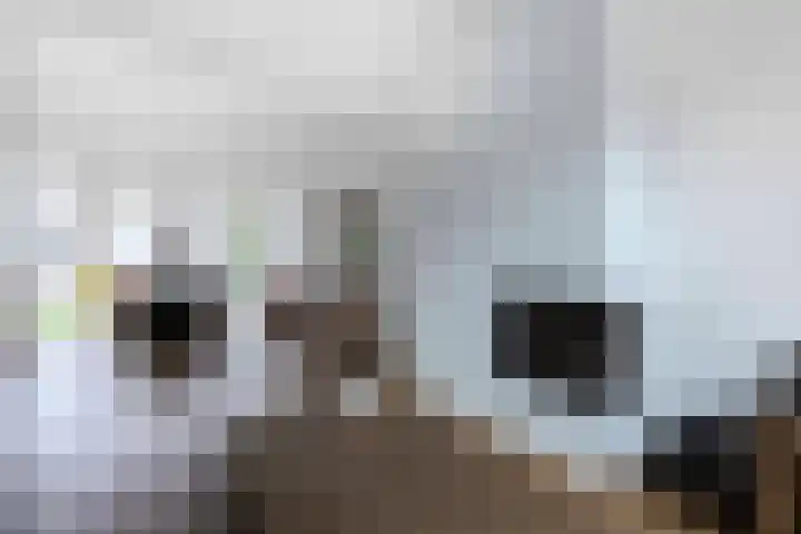 Walburg 36 Maastricht thumbnail 11