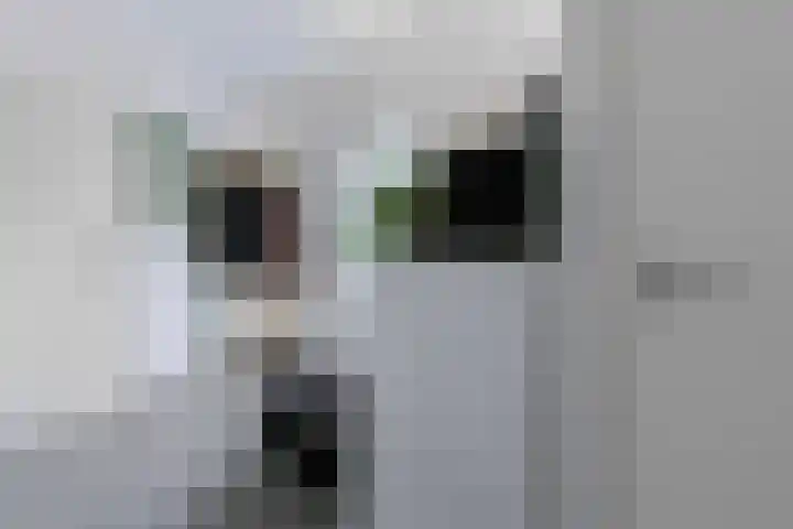 Walburg 36 Maastricht thumbnail 21