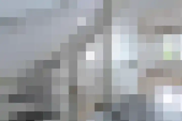 Walburg 36 Maastricht thumbnail 32