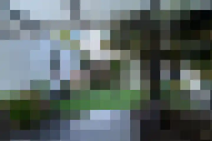 Walburg 36 Maastricht thumbnail 41