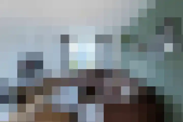 Walburg 36 Maastricht thumbnail 7