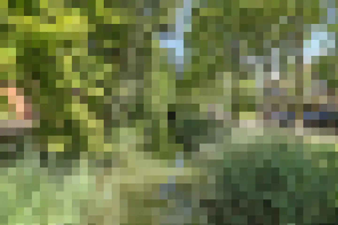 Walcheren 107 Utrecht thumbnail 21