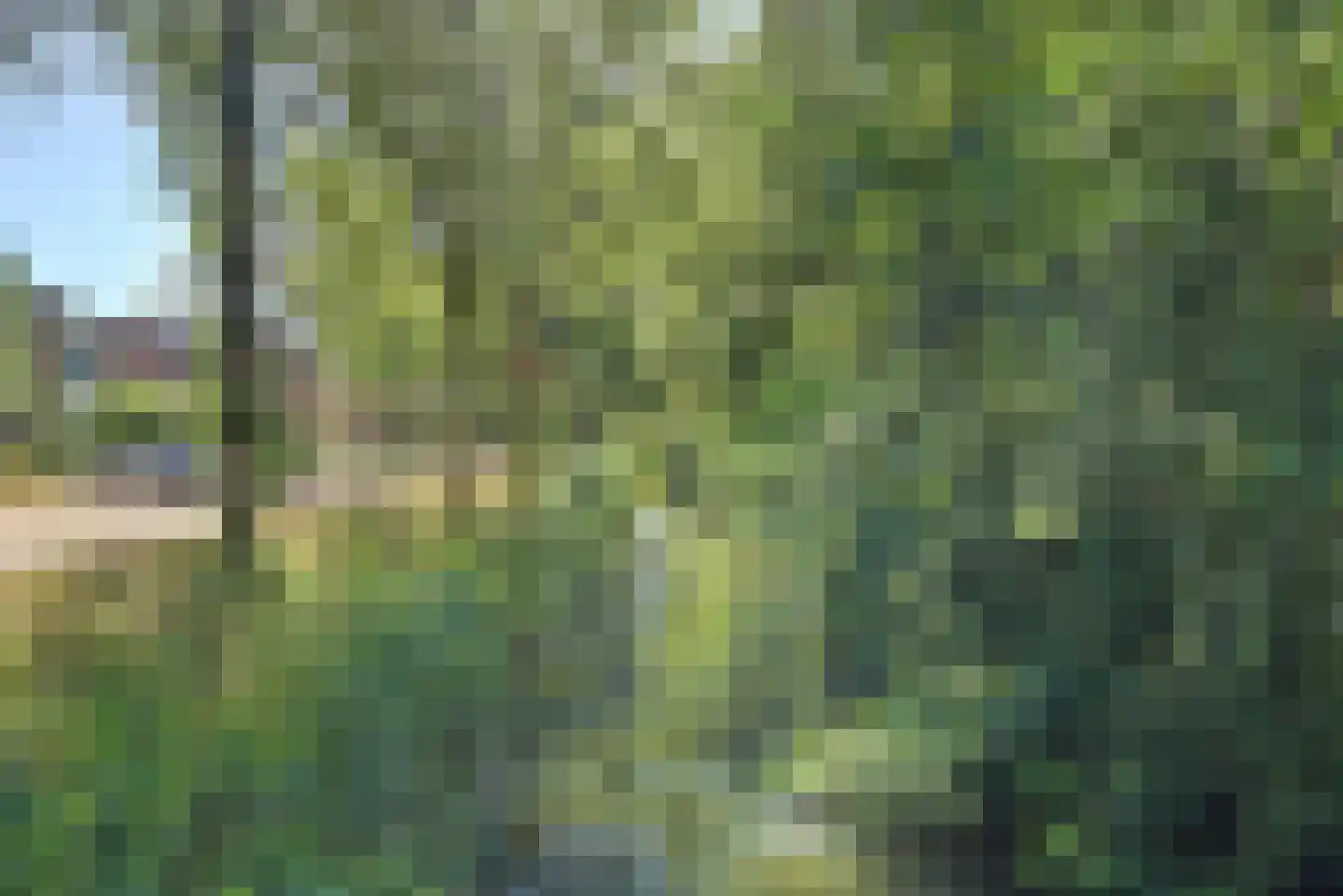 Walcheren 107 Utrecht thumbnail 22
