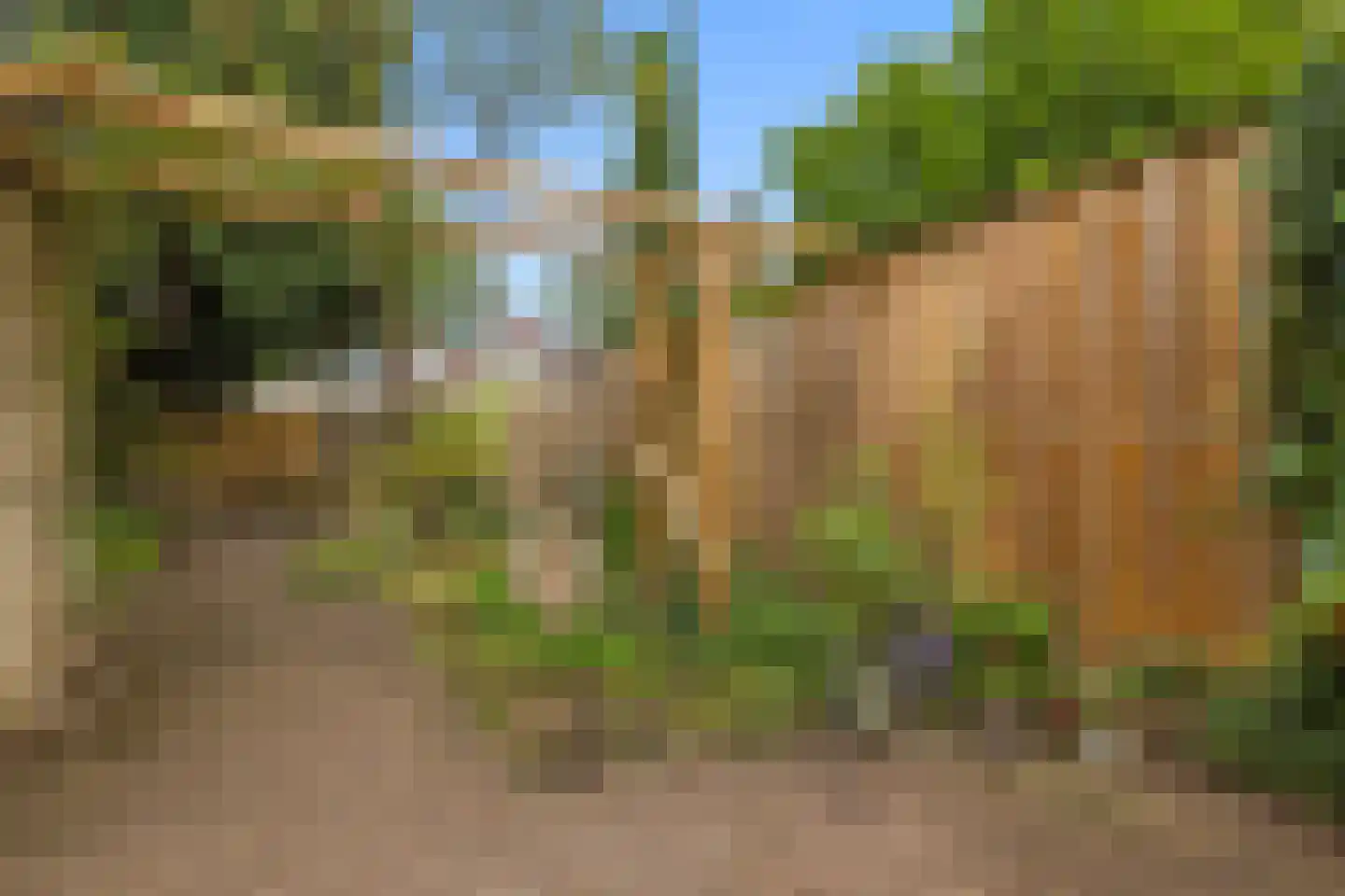 Walcheren 118 Utrecht thumbnail 18