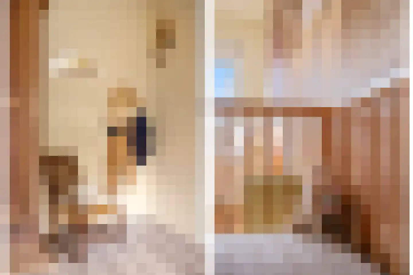 Walcheren 118 Utrecht thumbnail 29
