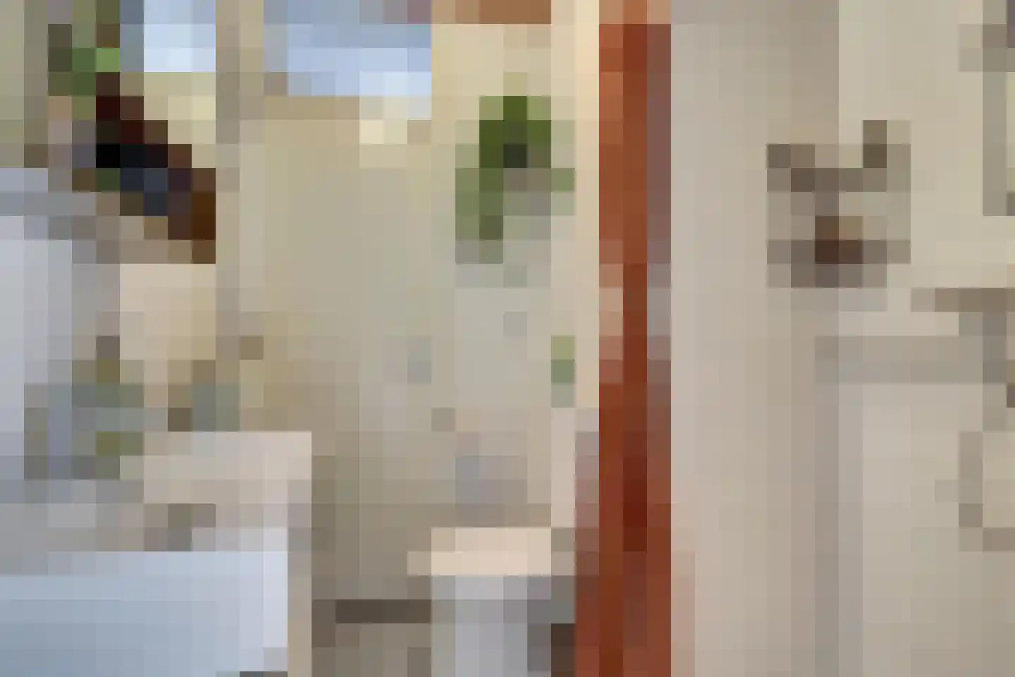 Walcheren 125 Utrecht thumbnail 15
