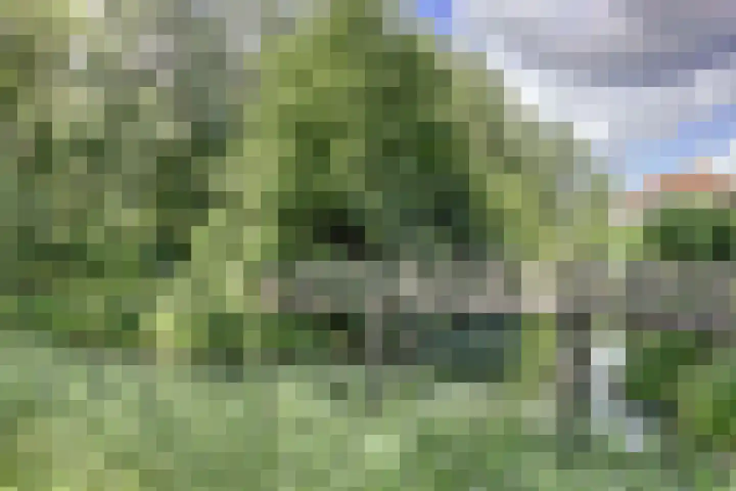 Walcheren 125 Utrecht thumbnail 23