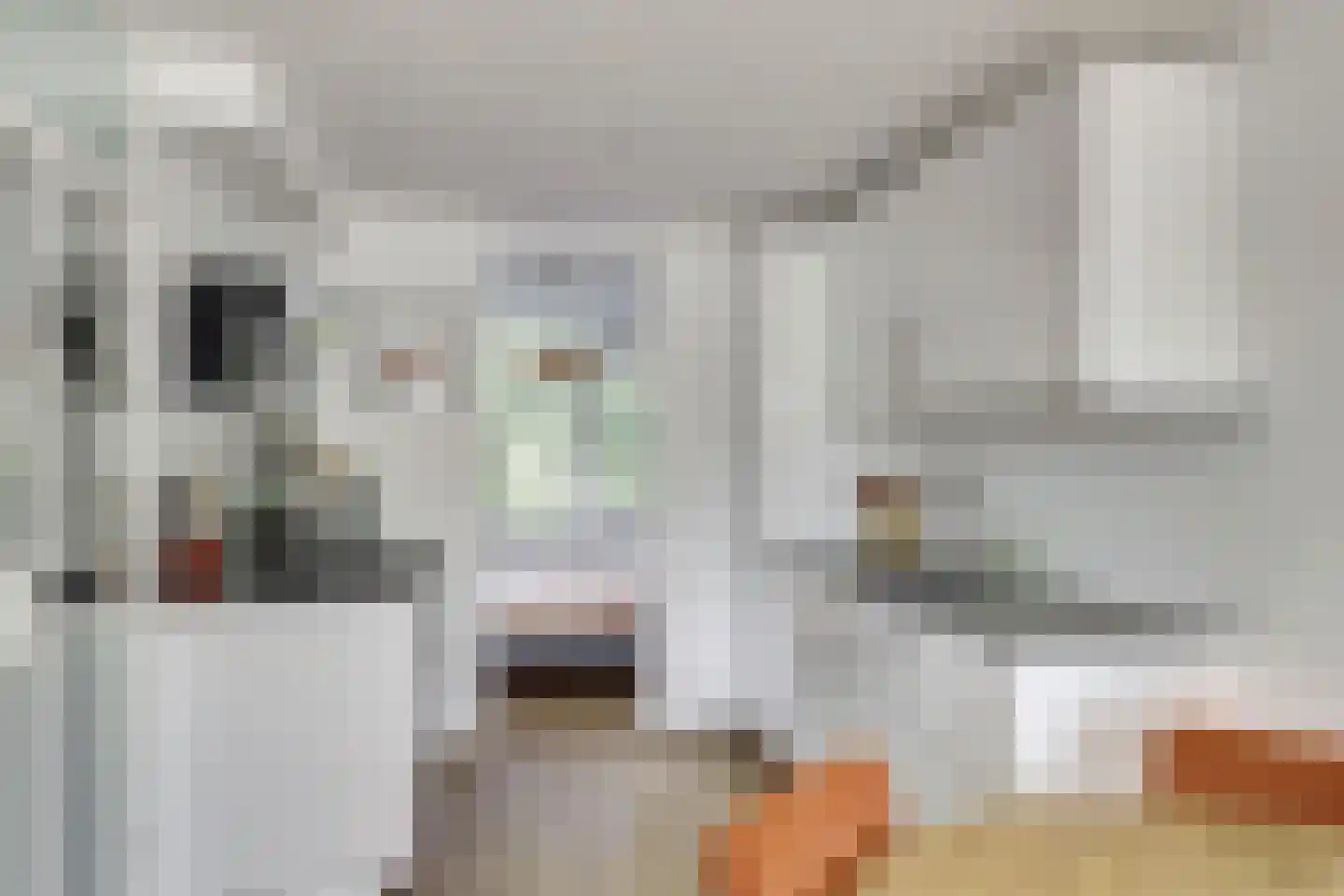 Walcheren 125 Utrecht thumbnail 8