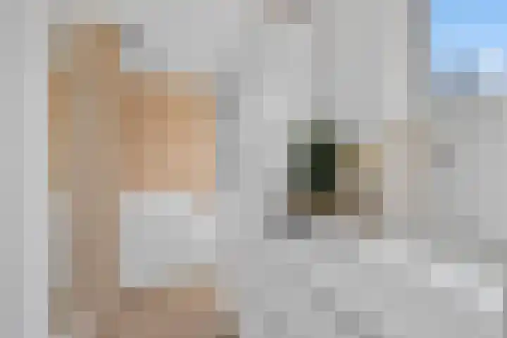 Walcheren 127 Utrecht thumbnail 20