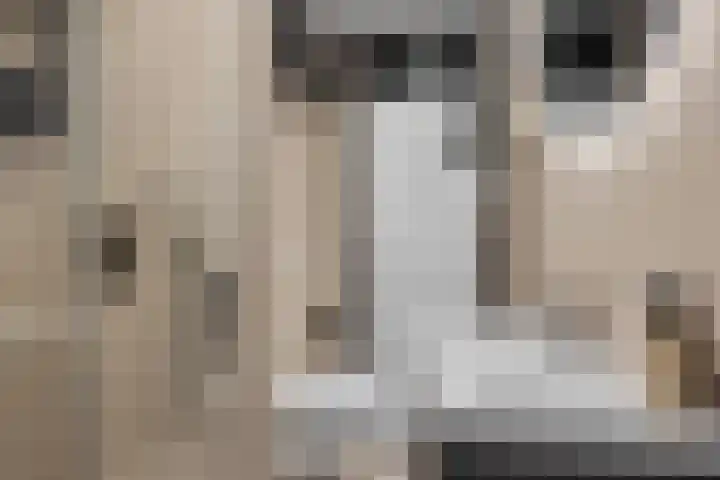 Walcheren 127 Utrecht thumbnail 24