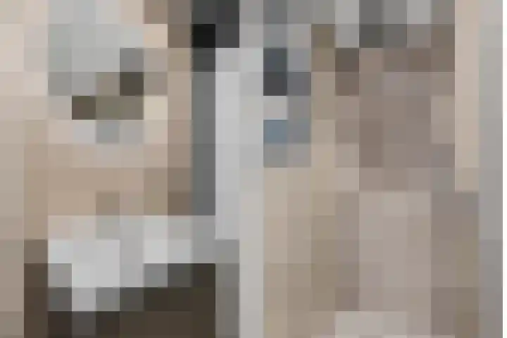 Walcheren 127 Utrecht thumbnail 25