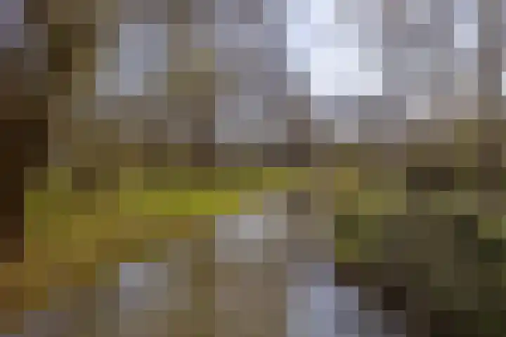 Walcheren 127 Utrecht thumbnail 29