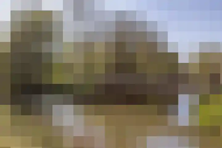 Walcheren 127 Utrecht thumbnail 30