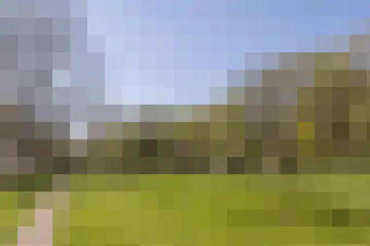 Walcheren 127 Utrecht thumbnail 31