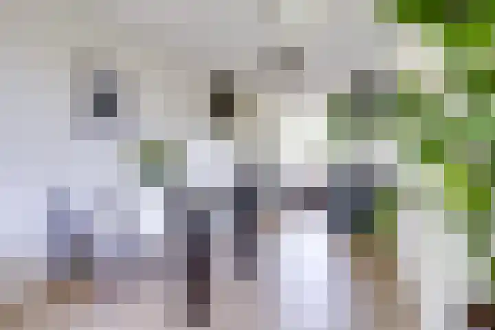 Walcheren 79 Utrecht thumbnail 10