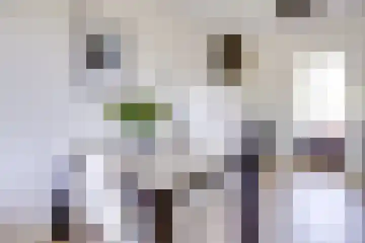 Walcheren 79 Utrecht thumbnail 11