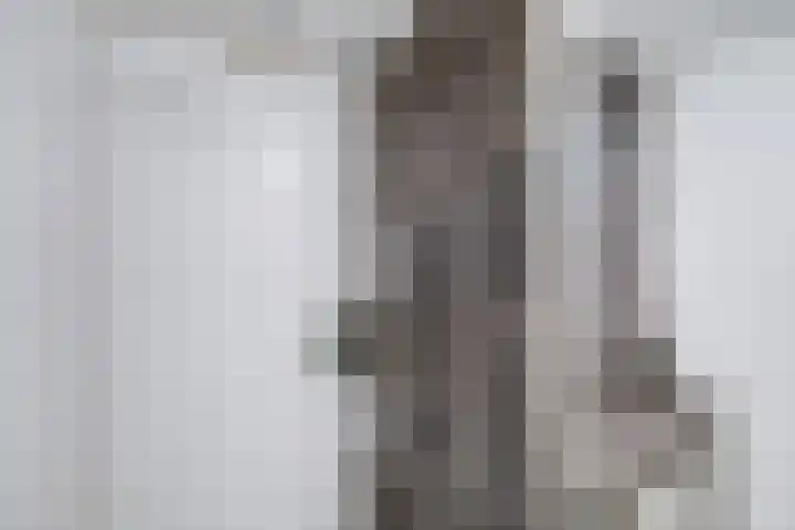 Walcheren 79 Utrecht thumbnail 21