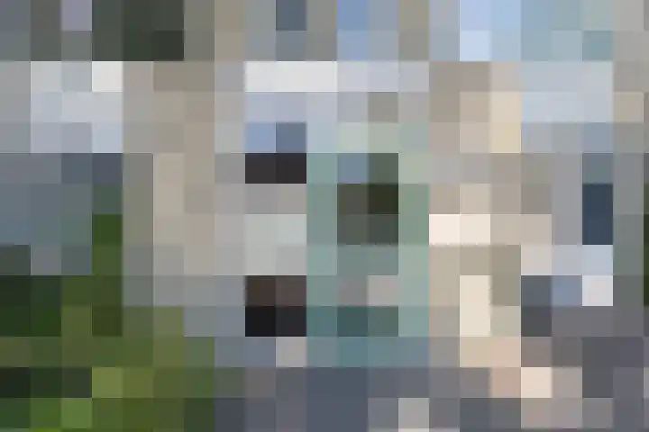 Walcheren 79 Utrecht thumbnail 29