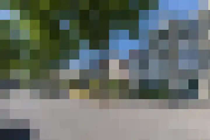 Walcheren 79 Utrecht thumbnail 31
