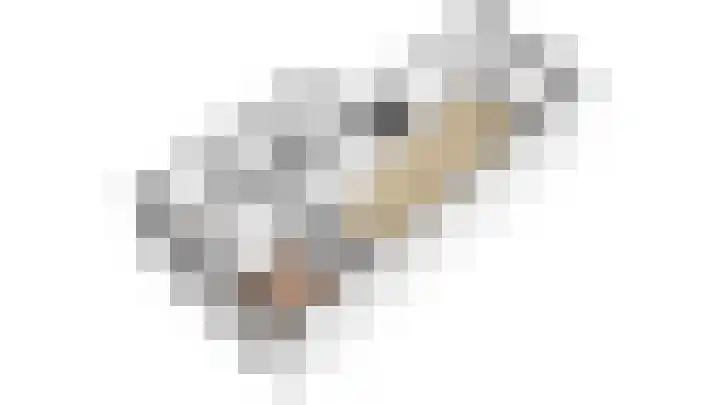 Walcheren 79 Utrecht thumbnail 34