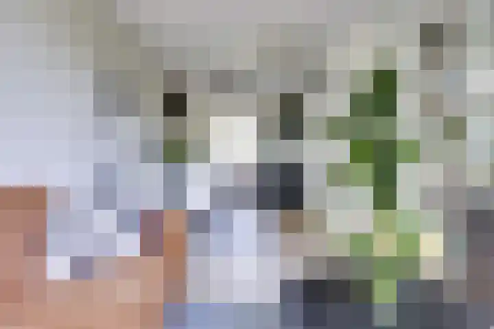 Walcheren 79 Utrecht thumbnail 9