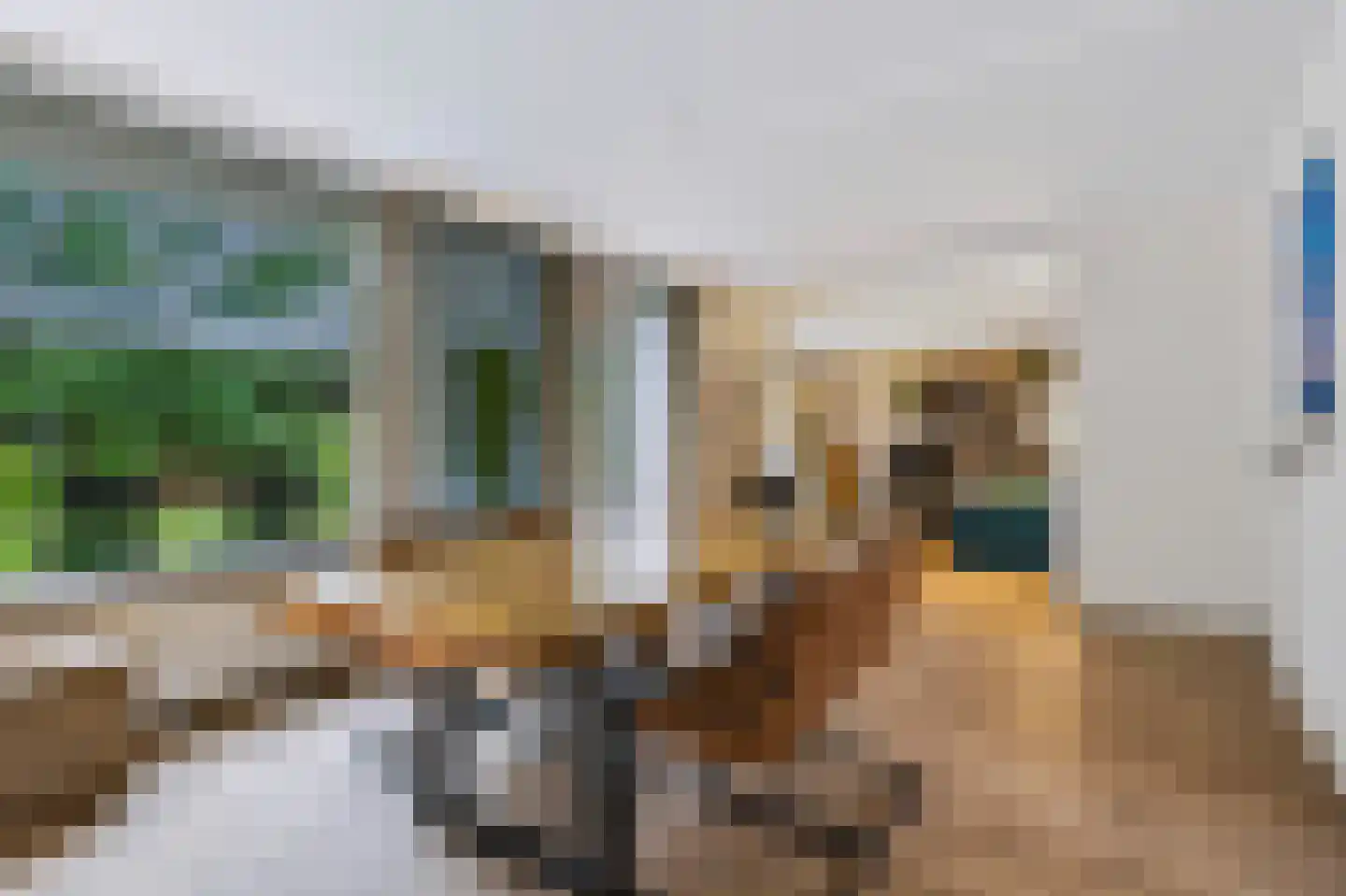 Walcherenlaan 2 Son en Breugel thumbnail 19