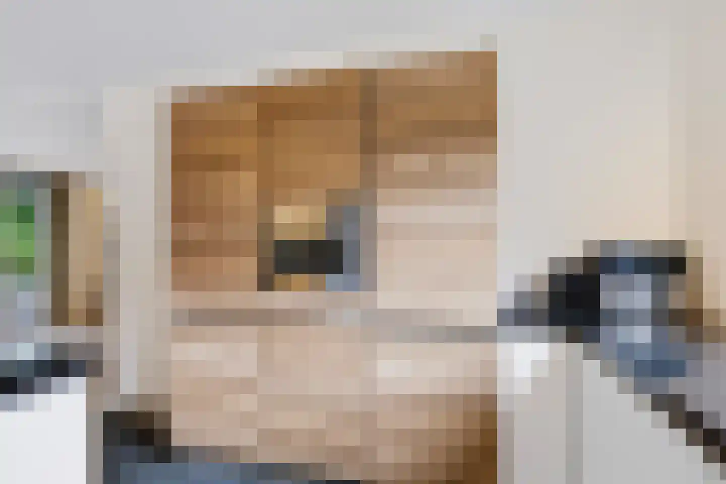 Walcherenlaan 2 Son en Breugel thumbnail 24