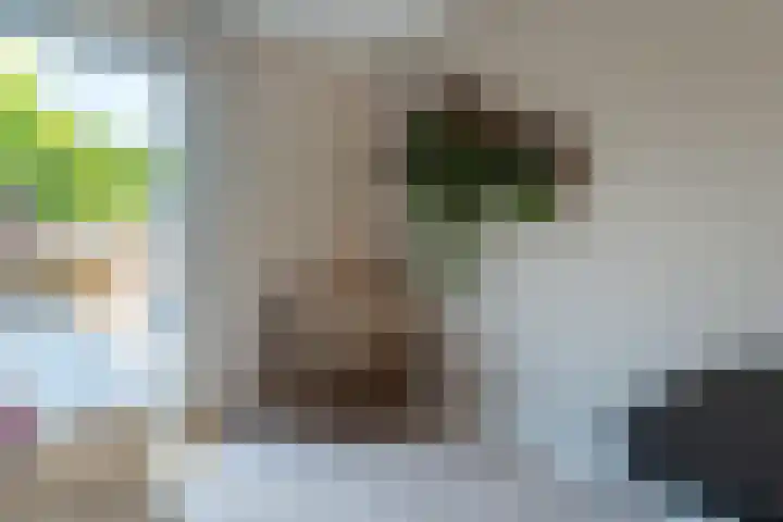 Walcherenpad 8 Breda thumbnail 11