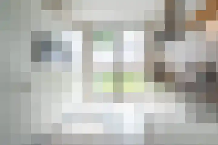 Walcherenpad 8 Breda thumbnail 14