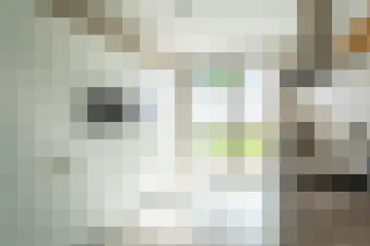 Walcherenpad 8 Breda thumbnail 17