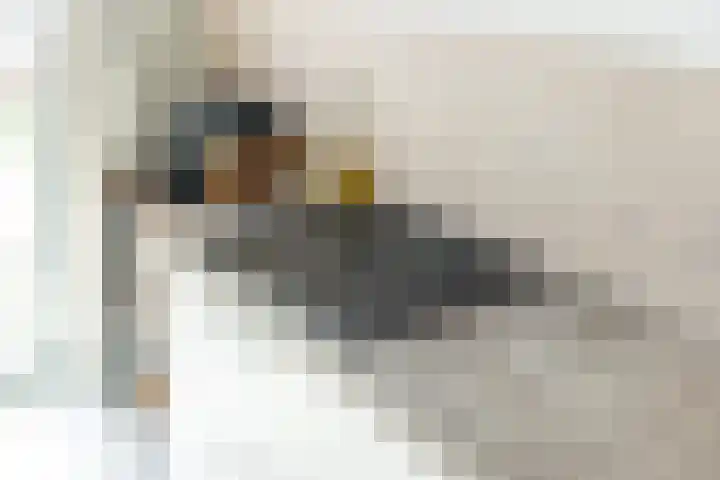 Walcherenpad 8 Breda thumbnail 20