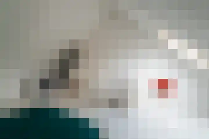 Walcherenpad 8 Breda thumbnail 29