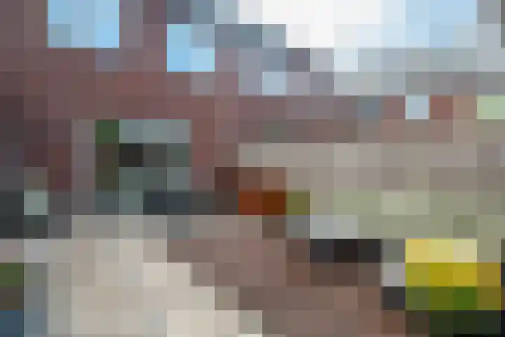 Walcherenpad 8 Breda thumbnail 30