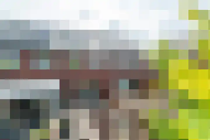 Walcherenpad 8 Breda thumbnail 33