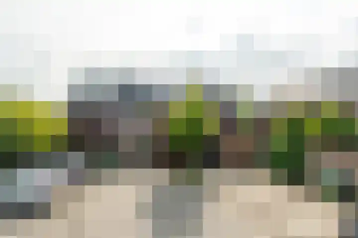Walcherenpad 8 Breda thumbnail 34