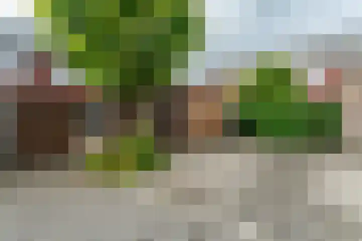 Walcherenpad 8 Breda thumbnail 36