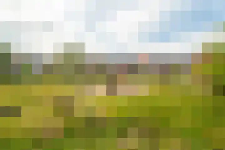 Walcherenpad 8 Breda thumbnail 37