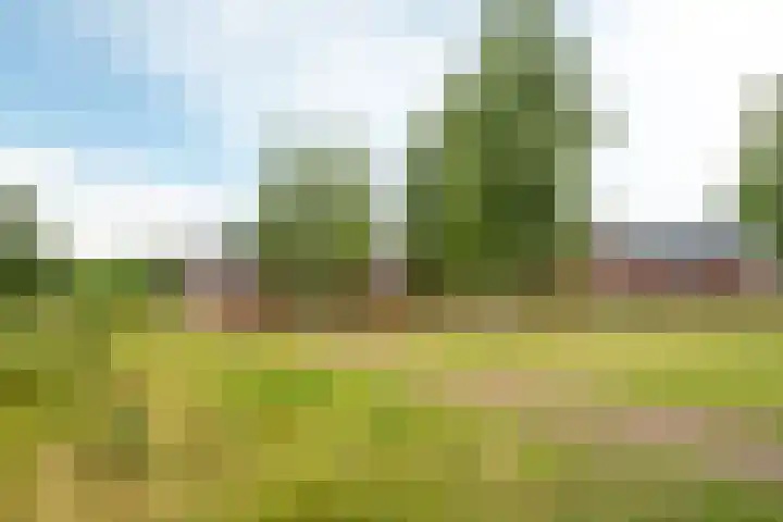 Walcherenpad 8 Breda thumbnail 38