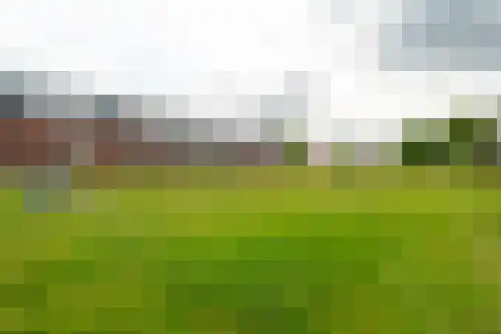 Walcherenpad 8 Breda thumbnail 39