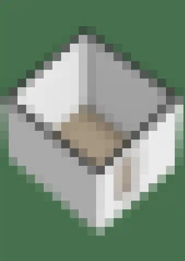 Walcherenpad 8 Breda thumbnail 43