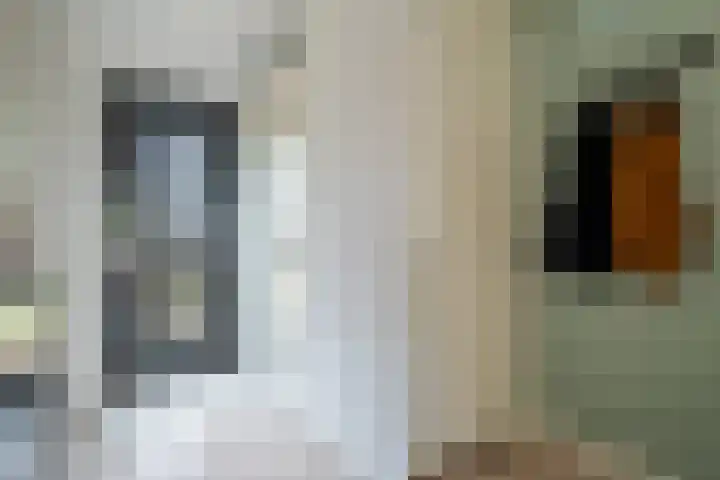 Walcherenpad 8 Breda thumbnail 6