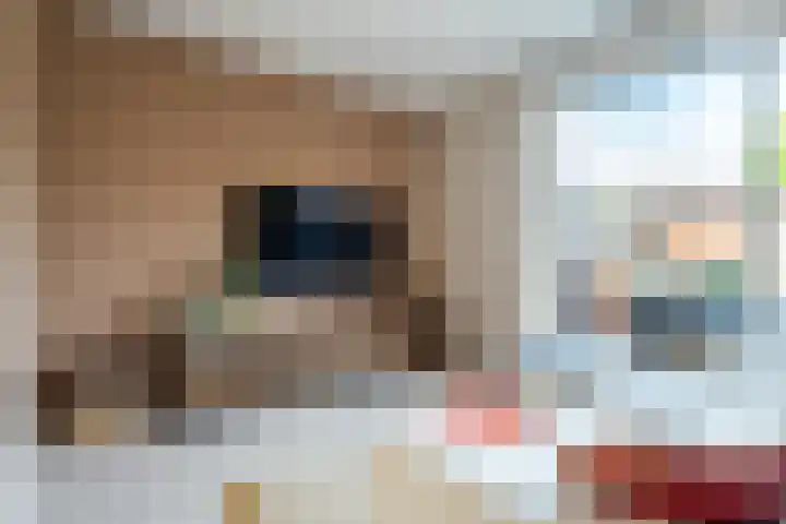 Walcherenpad 8 Breda thumbnail 8