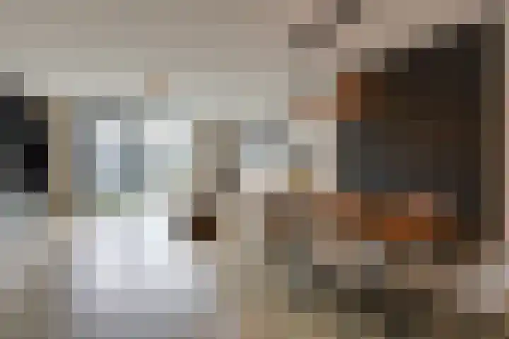 Walcherenstraat 3 c Duiven thumbnail 10