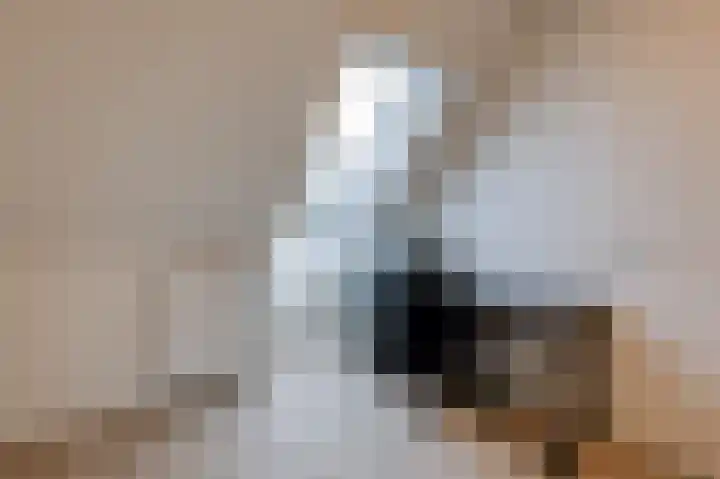 Walcherenstraat 3 c Duiven thumbnail 31