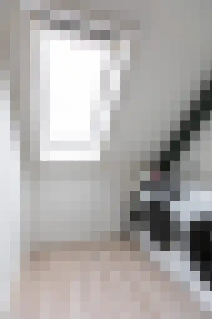 Walcherenstraat 3 c Duiven thumbnail 34